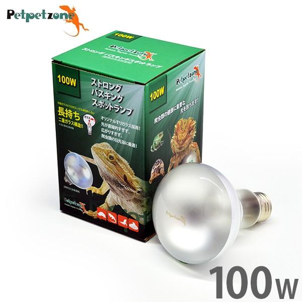 XgO oXLOX|bgv 100W (p ۉ) [[XC Ɩ ঒  ybgybg][]