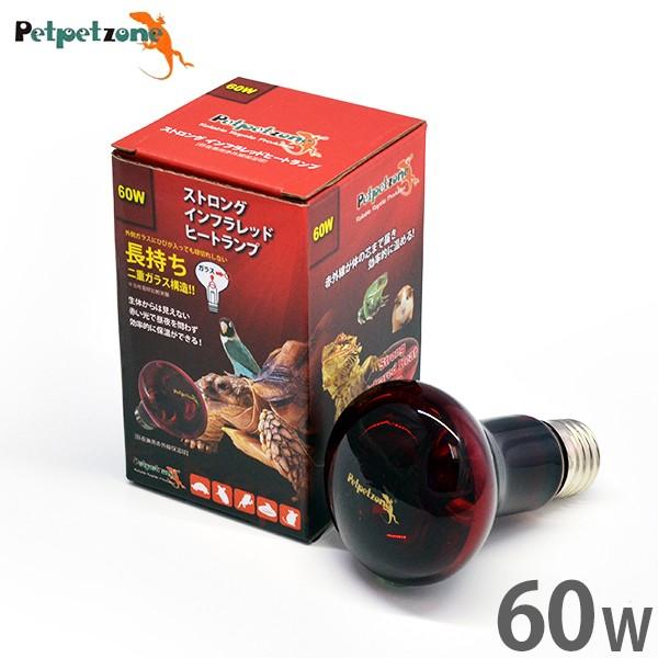 XgO Ctbhq[gv 60W (錓p ԊOۉ) [[XC Ɩ ঒  ybgybg][]