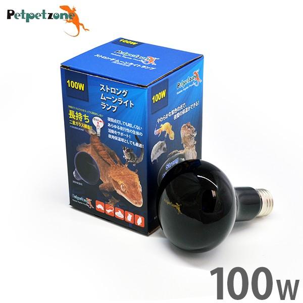 XgO [Cgv 100W (p ۉ) [[XC Ɩ ঒  ybgybg][]