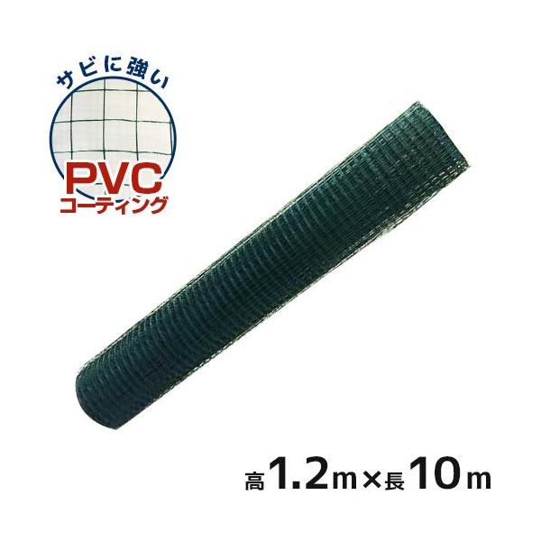 VZC \ 1.2×10m (Ԗ25mm) [hbtFX |p   K hb]