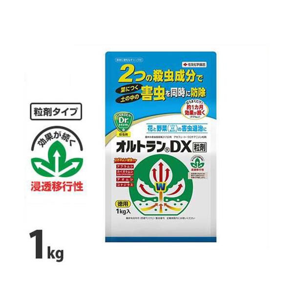 ZFw| |p E IgDX 1kg [  Q h]