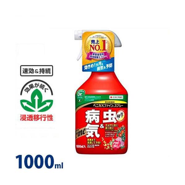 ZFw| |p EEۍ xjJXt@CXv[ 1000ml [Q h E]