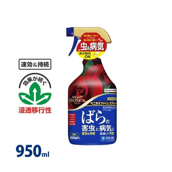 ZFw| |p EEۍ }C[Y xjJXt@CXv[ 950ml [Q h E]