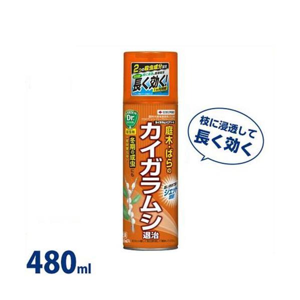 ZFw| |p E JCKVGA][ 480ml [Q]