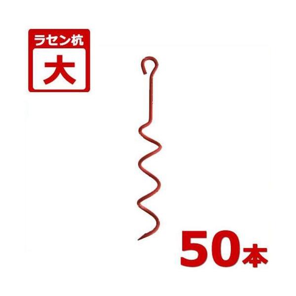 ZY  50{Zbg (rj[nEXEpCvqɁEpCvԌɂ̌Œp) [hH iGC Y]