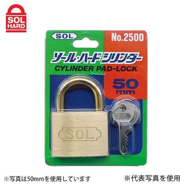 y[ցzSOL HARD(\n[h) 싞 #2500VP-45 V_[45mm (pbN) 09313305 [bJ[ Jo ] ۊǔ H Ԏ~|[]