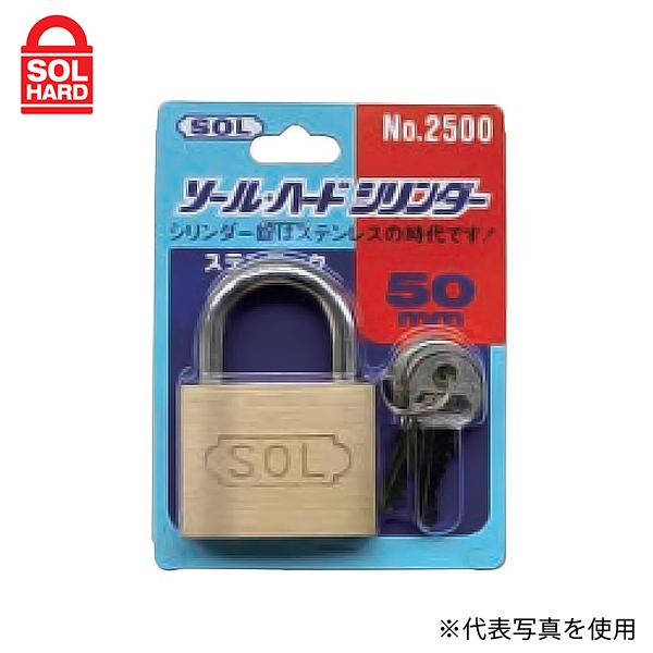 y[ցzSOL HARD(\n[h) 싞 #2500VP-45 XebN45mm (pbN) 09313704 [bJ[ Jo ] ۊǔ H Ԏ~|[]