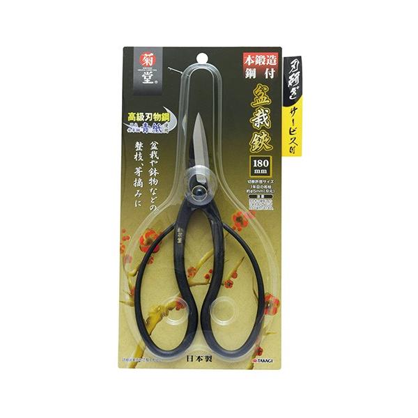 e |t~ 180~ 4907052710221 [~͂΂ ~͂͂]