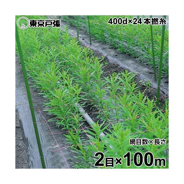 フラワーネット 400d×24本・撚糸 2目×長さ100m : ミナトワークス 
