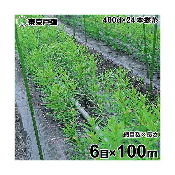 ネット　６ｍ×３，５ｍ Amazon | 野球ネット軟式用(3m×6m) | スポーツネット設備