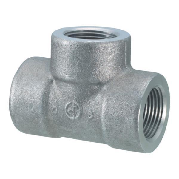 �t�W�g�N �`�[�Y TPT32A [T-PT-32A][r20][s9-010]
