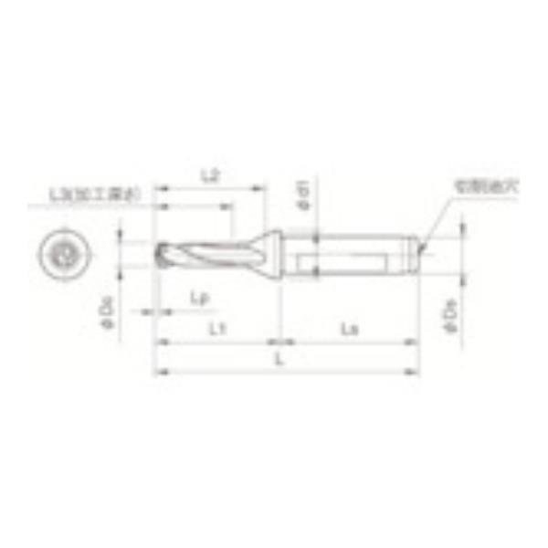 ���Z�� �h�����p�z���_ SF25DRC180M3 [SF25-DRC180M-3][r20][s9-031]