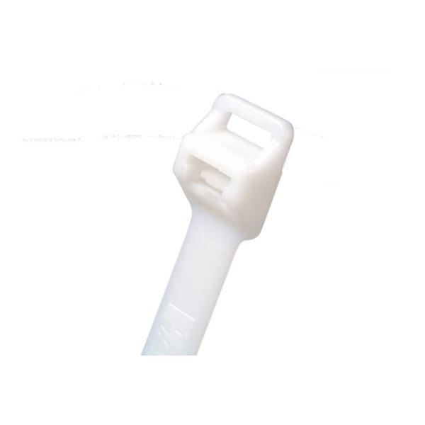 �p���h�E�C�b�g �i�C���������o���h �i�`������ PLT6EHC 100�{�� [PLT6EH-C][r20][s9-030]