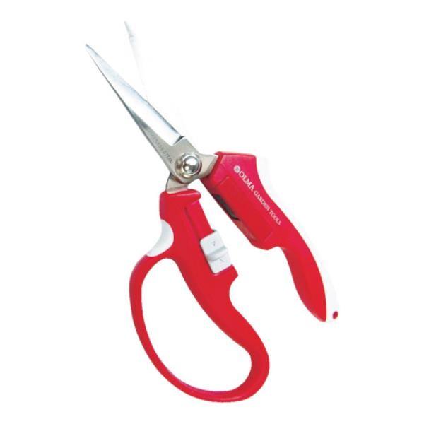 TV I} }Olbg ،^() MG2R [MG-2R][r20][s9-010]