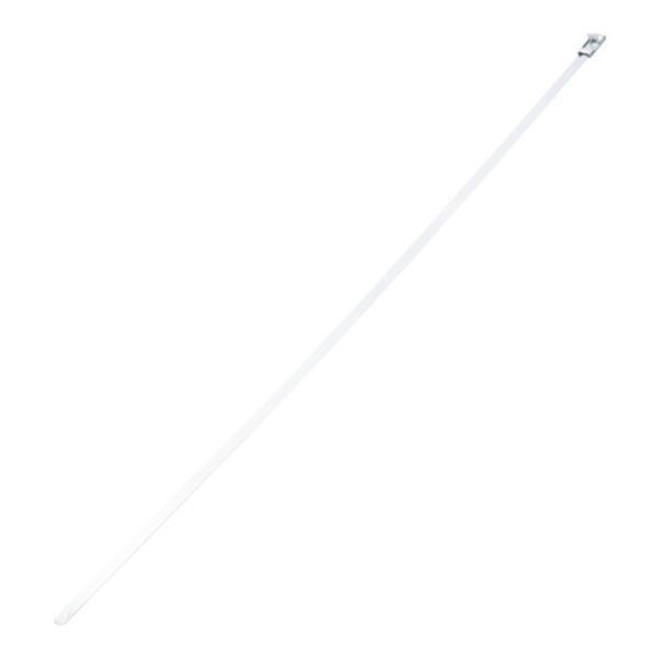 �p���h�E�C�b�g MS(�o�b�N�����b�N��)�X�e�����X�X�`�[���o���h MS10W50T15L4 50�{�� [MS10W50T15-L4][r20][s9-031]