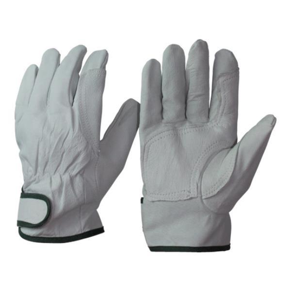 ӂ ؊v⋭Aet}WbN LL R24LL [r20][s9-010]