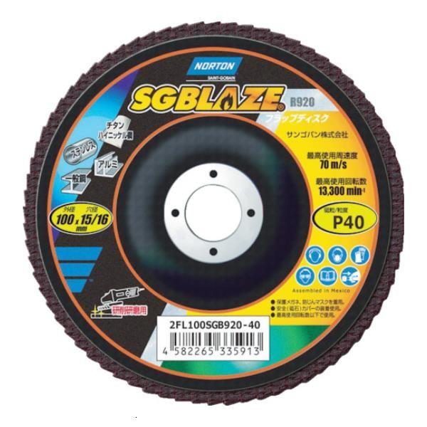 NORTON SGuCY920 tbvfBXN 60# 2FL100SGB92060 ×10Zbg [2FL100SGB920-60][r20][s9-030]