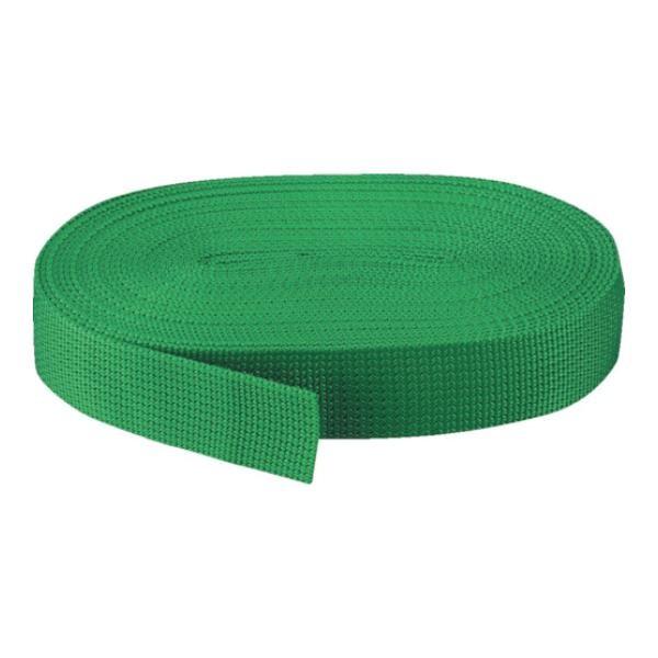 TRUSCO PP�x���g��30mmX����10m �� PPB3010 (GN) [PPB-3010][r20][s9-010]