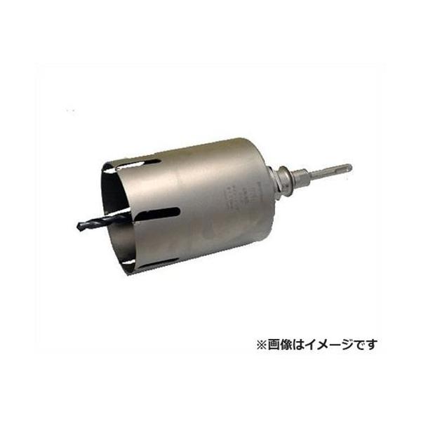 ショップジャパン P24 095sds サイディング Sdsプラスシャンク ボッシュ セット 穴開け ポリクリックシステムセット ドリル ドライバー レンチ Bosch コア ボッシュ 回転専用 穴開け あす楽 送料込み