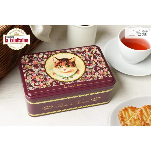 minatojapan-y02_2299-009374