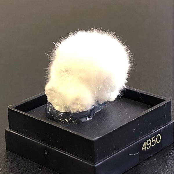 オーケン石 オケナイト（Okenite)直径約14mm コレクションケース付