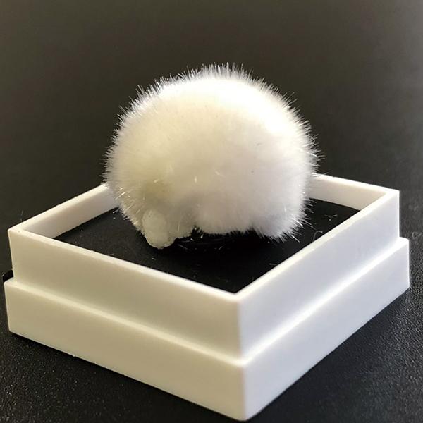 オーケン石 オケナイト（Okenite)直径約17mm コレクションケース付