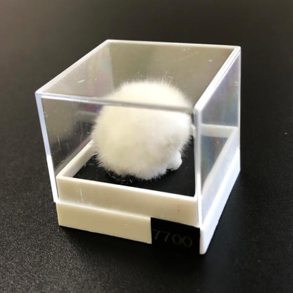 オーケン石 オケナイト（Okenite)直径約17mm コレクションケース付