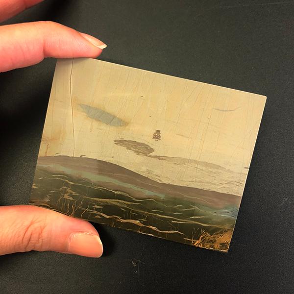 パエジナストーン（約75×59ミリ） : Mineral&Fossil - 通販