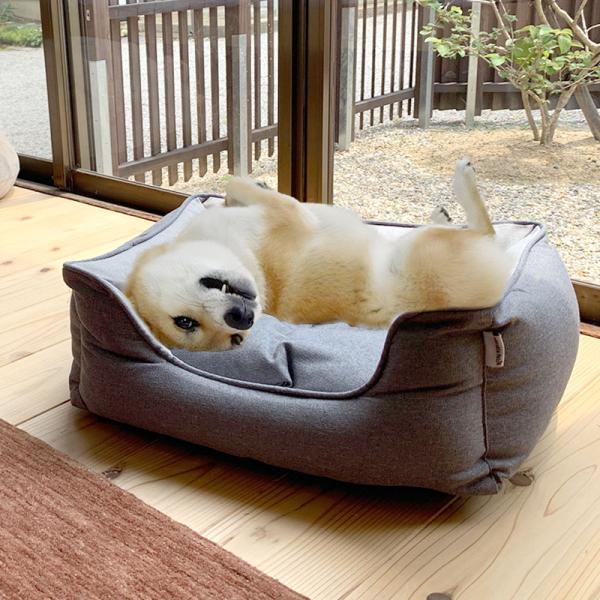 洗える 犬用 猫用ペットベッド Mサイズ スクエア 四角 Pet Bed : minet
