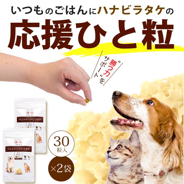 「ペットのハナビラタケ」は、健康維持に配慮した健康補助食品です。病中・病後のサポートはもちろん、日頃の未病の段階からの免疫力のサポートにオススメです。加齢やストレス、環境などで低下しつつある免疫力をサポートするハナビラタケ（βグルカン）を主...