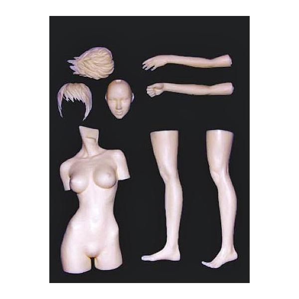 Wj 614 女性素体キット 完成品ではありません 原型 林浩己 1 6 セール対象外 Buyee Buyee Japanese Proxy Service Buy From Japan Bot Online