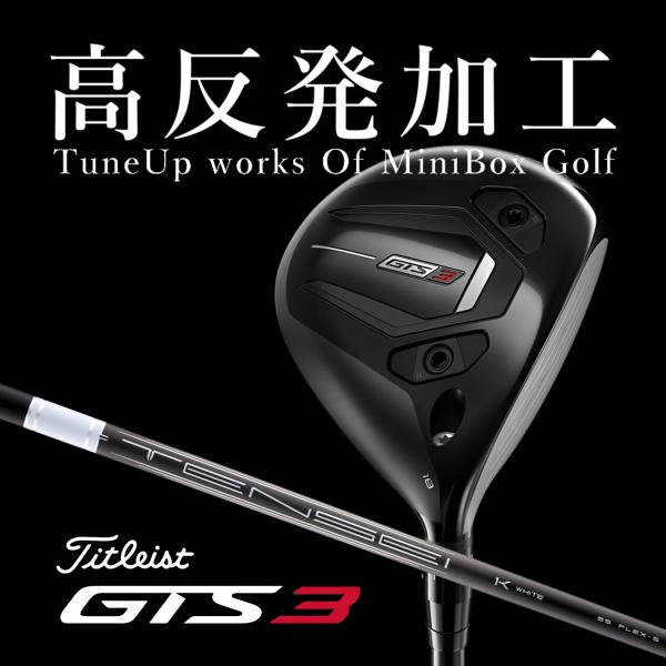 Titleist（タイトリスト） 【高反発加工/CT値290/ヘッドスピード43m/s