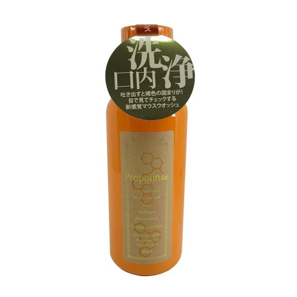 P[X̔ v|X M[ 450ml 169804 sGX