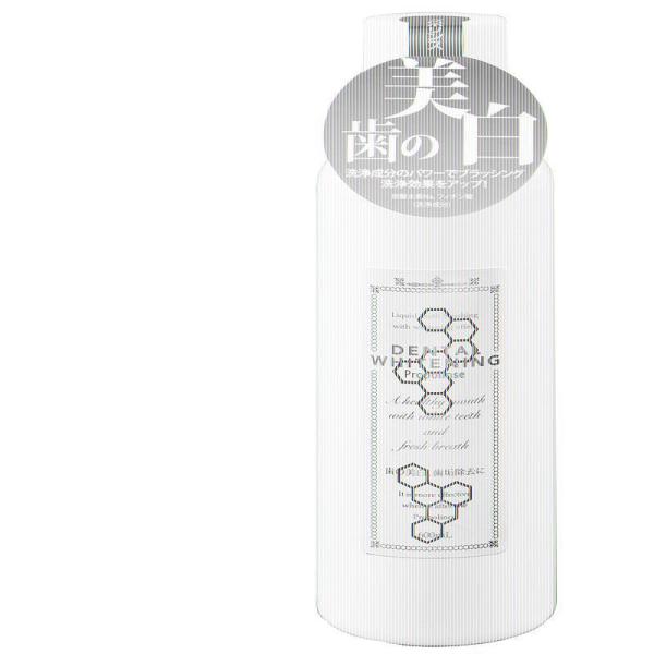 P[X̔ v|X f^zCgjO 600ml 169805 sGX