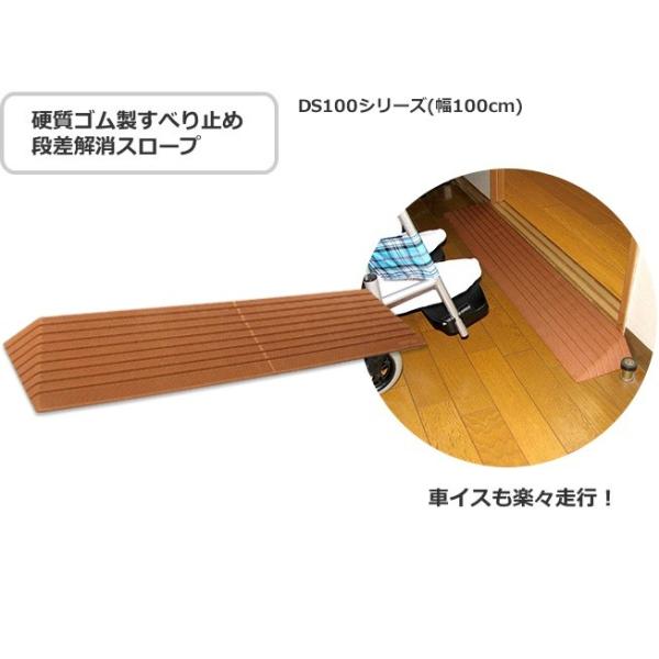 _CX[v 100cm DS100-60 VGCeNm