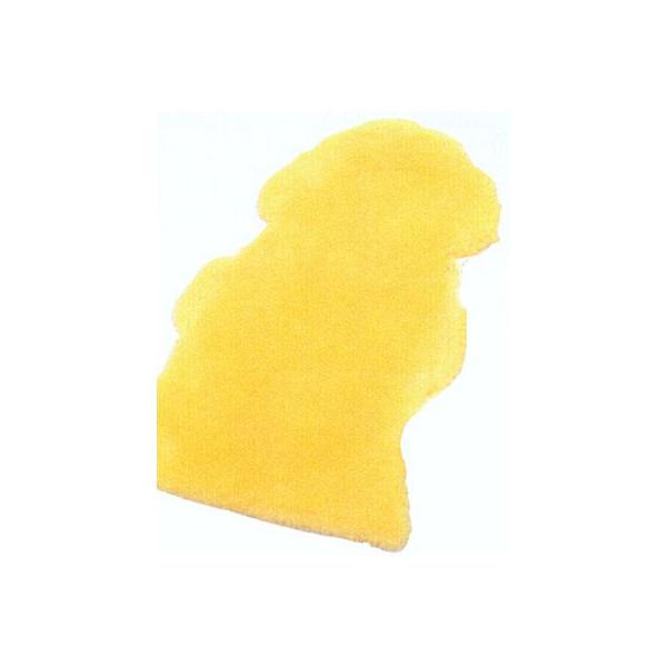 i[VObO C NR-1.5P EBY