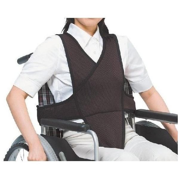 Ԉ֎qxg/4010 L u[ ߗ