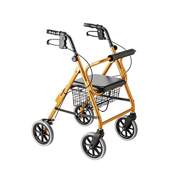 nbs[IINB IW^bN 117006 |