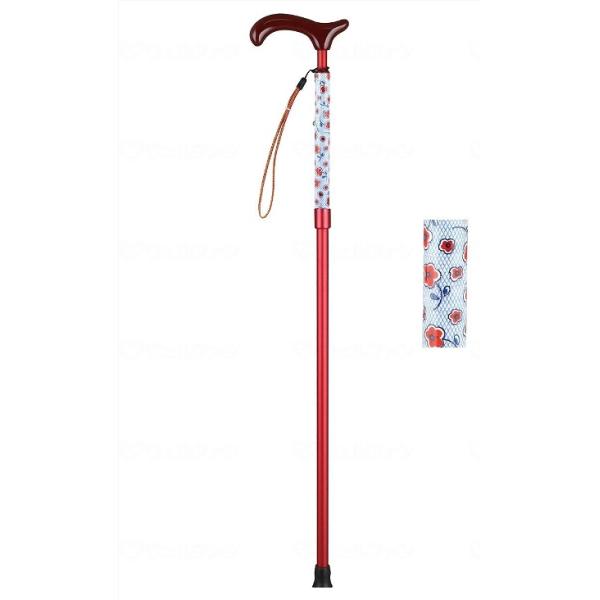 Xg[gA~Lk AX^[ CH881 Tr[