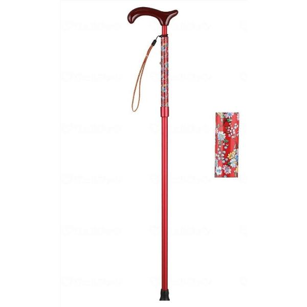 Xg[gA~Lk t[ CH880 Tr[