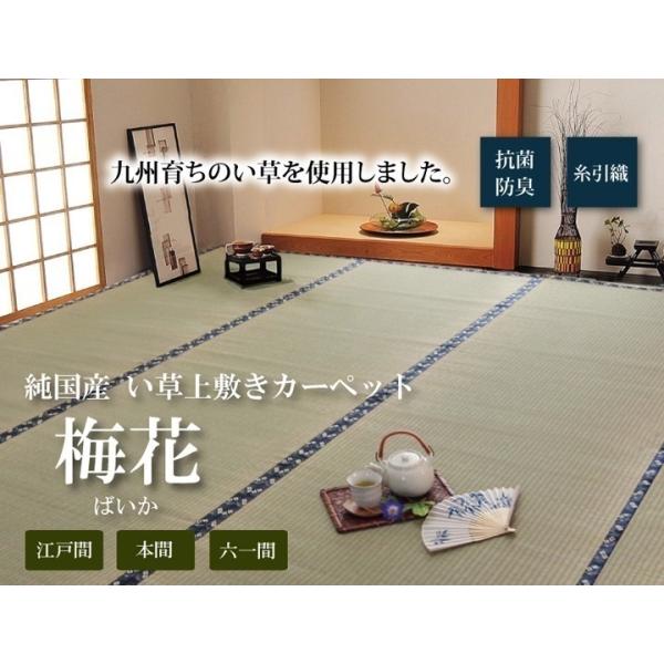 Y  ~ J[ybg D ~ {6 286×382cm CPqR