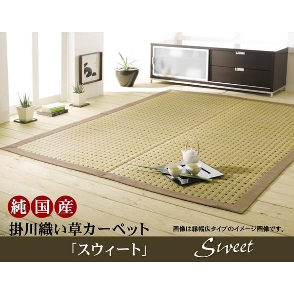 Y |D J[ybg XEB[g ]ˊ6 261×352cm CPqR