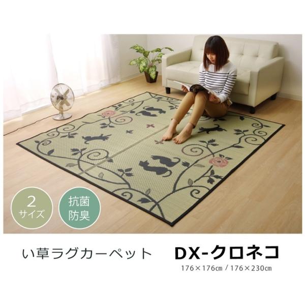 O O J[ybg 3 ` 킢 L ˂ lR DXNlR 176×230cm :sDz CPqR