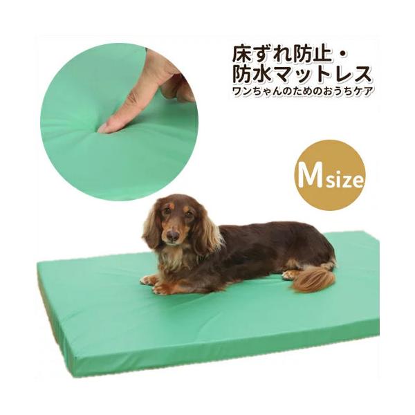 h~Eh}bgX O[ M EH[N g{ pi  ybg ybgpi ᔽ ^@^@^ @VjA