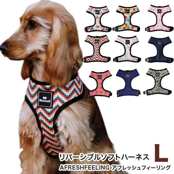 o[Vu \tgn[lX LTCY  pi ybgpi@AF