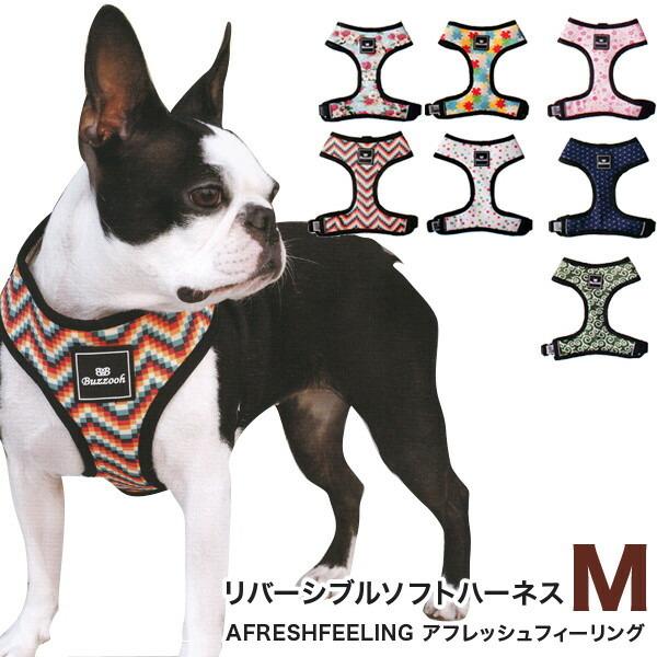 o[Vu\tgn[lX MTCY  p ybgp AF@[lX