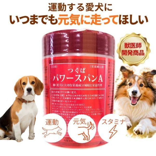 つくば パワースパンA 警察犬 盲導犬 牧羊犬 狩猟犬 介助犬 レスキュー犬 聴導犬 アジリティ スポーツ 訓練所 toda