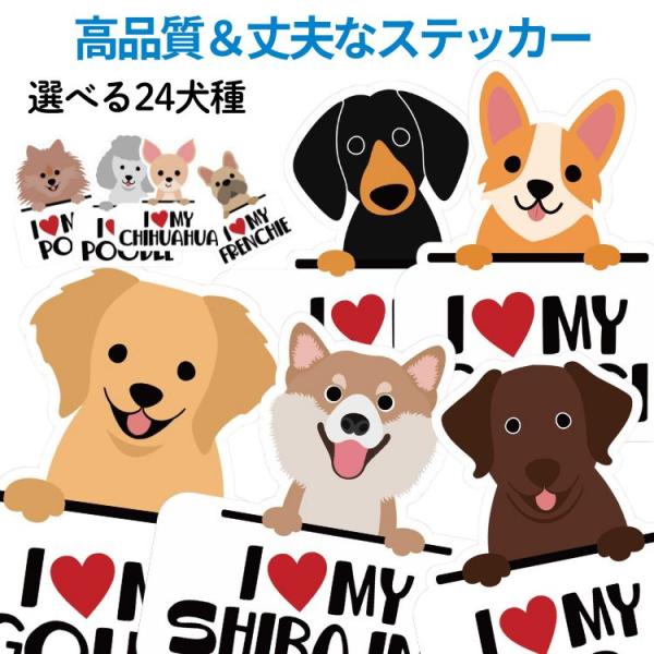 【商品説明】アメリカで生まれたステッカーブランド『STICKER PACK』の商品です。ポップカルチャー最先端のアメリカならではのデザインを生かした、持っているだけで楽しい、もっと集めたくなる、そんな世界をカラフルで繊細なタッチで表現したス...