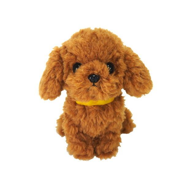 PUPS pvX S gCv[h BR uE ʂ I[i[ObY 