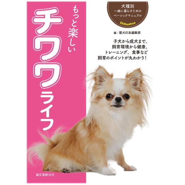 チワワページ 743538 チワワ（ロングコート） - YouTube